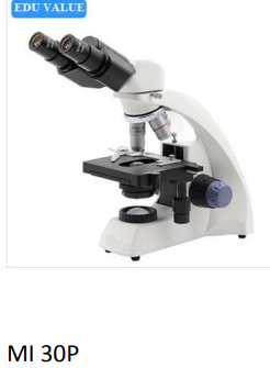 Microscope binoculaire EDUVALUE