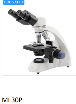 Microscope binoculaire